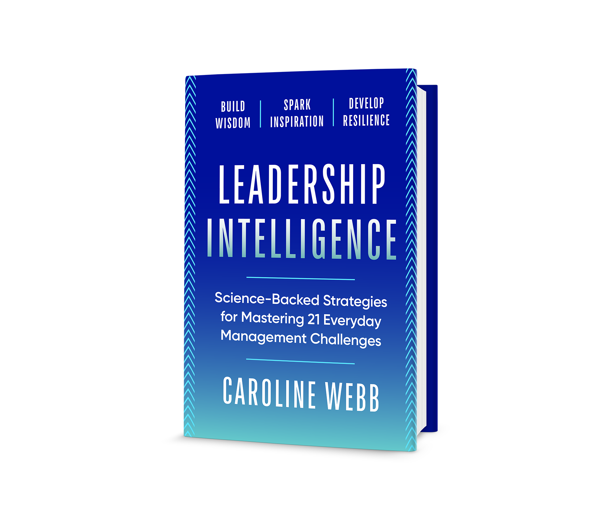 Leadership Intelligence 3D